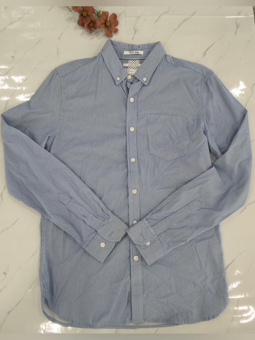 Cactus Light Blue Striped Men's Button-Down Shirt